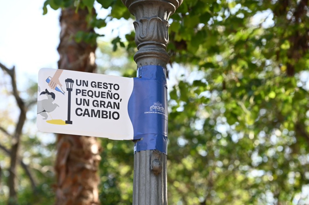 FOTO LINARES